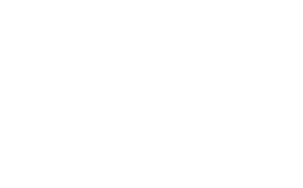 salaminima